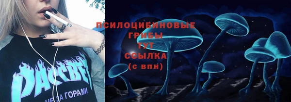 каннабис Инта