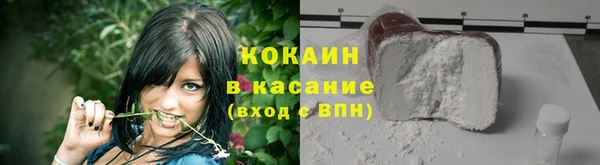 индика Зеленодольск